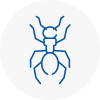 Ant Removals In Weymouth