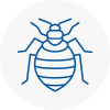 Bed Bug Extermination In Weymouth