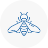 Bee Nest Removal Weymouth