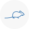 Mice Exterminators In Weymouth