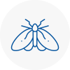 Moth Control Specialists In Weymouth
